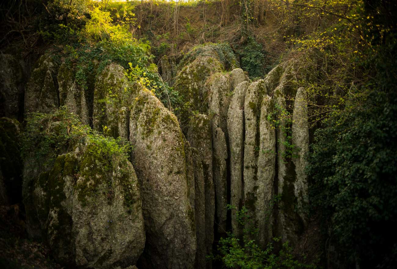 Parco Regionale dei Gessi Bolognesi e Calanchi dell’Abbadessa: tra grotte, fossili e paesaggi lunari