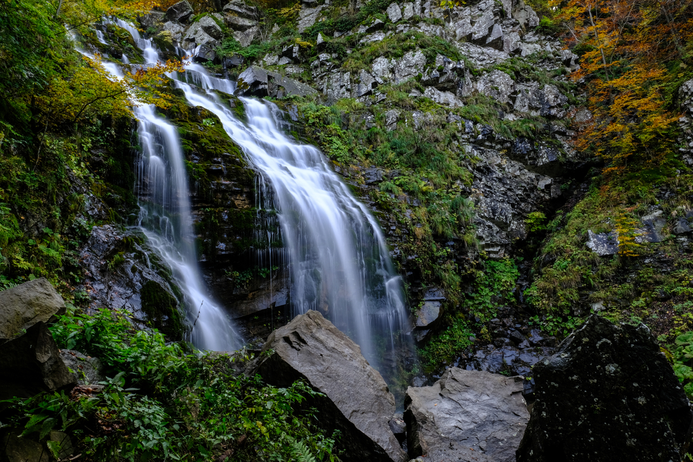 Parco Regionale del Corno alle Scale: l’anima selvaggia dell’Appennino bolognese
