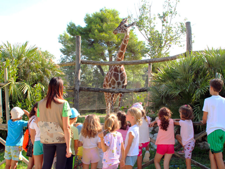 Parco Zoo Falconara, una missione a quattro pilastri