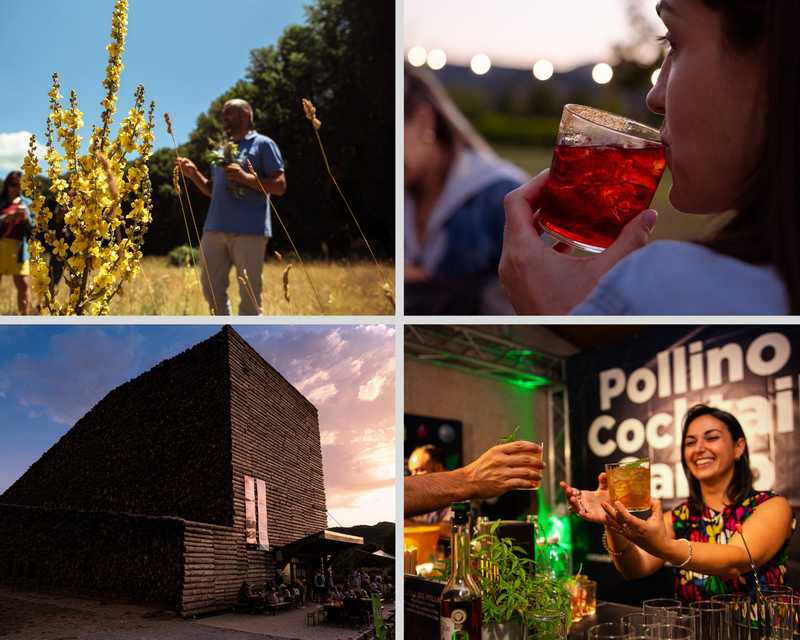 Pollino Cocktail Camp 2026 a Morano Calabro: cocktail botanici