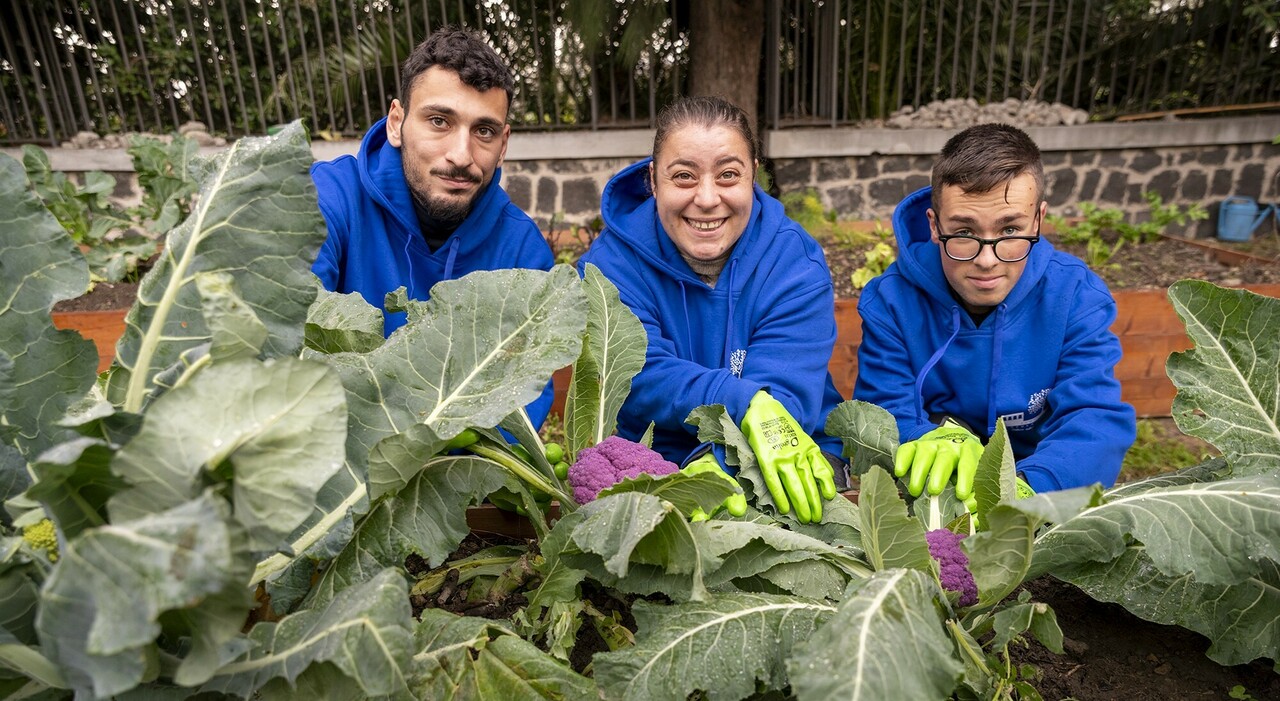 Pompei, 20-21 maggio: “Incontro sostenibile” per gli studenti al Parco
