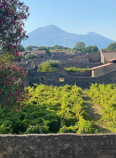 Pompei: Festival dello Sviluppo Sostenibile al Parco Archeologico il