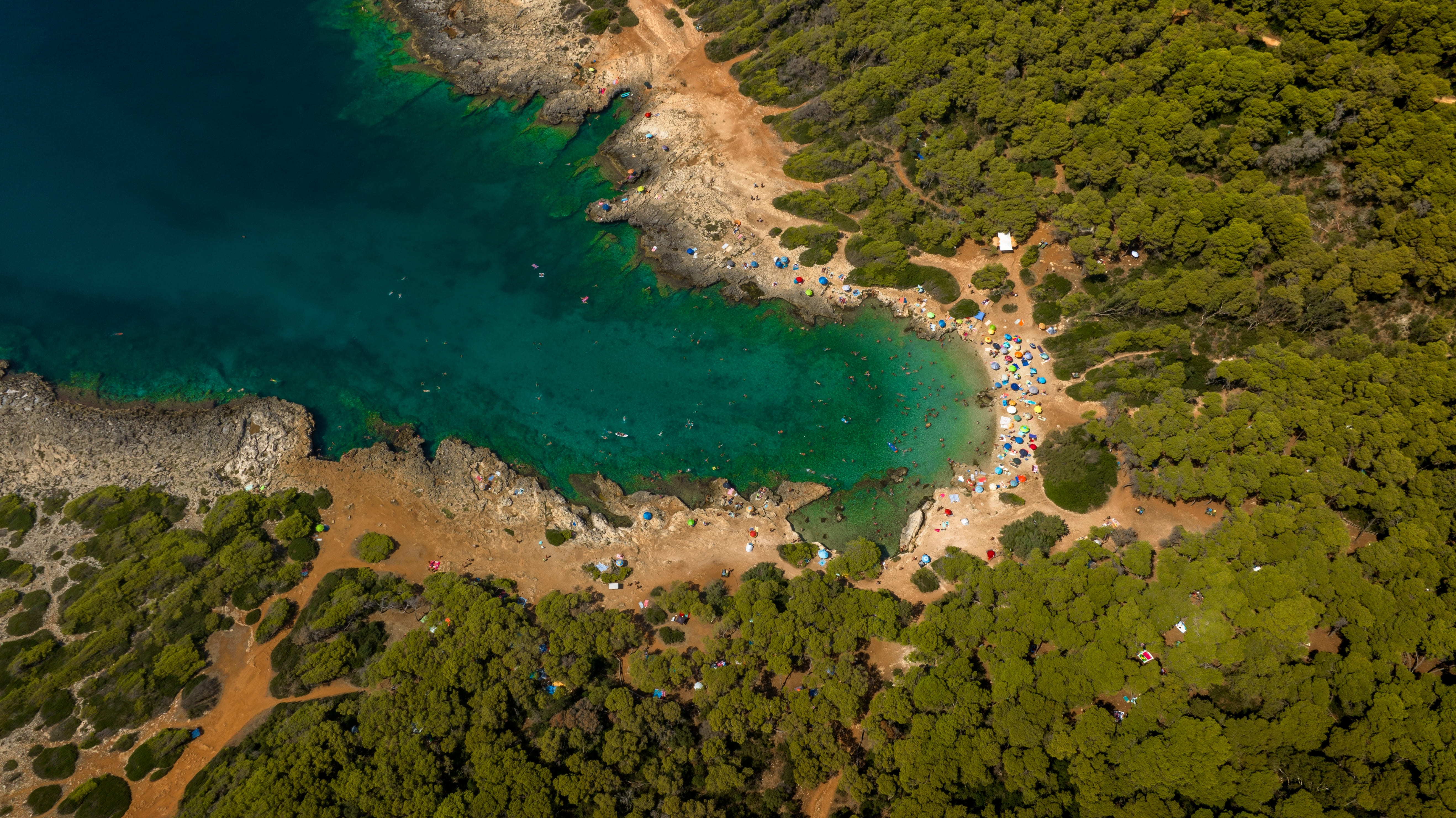 Porto Selvaggio: dove la pineta abbraccia il mare cristallino