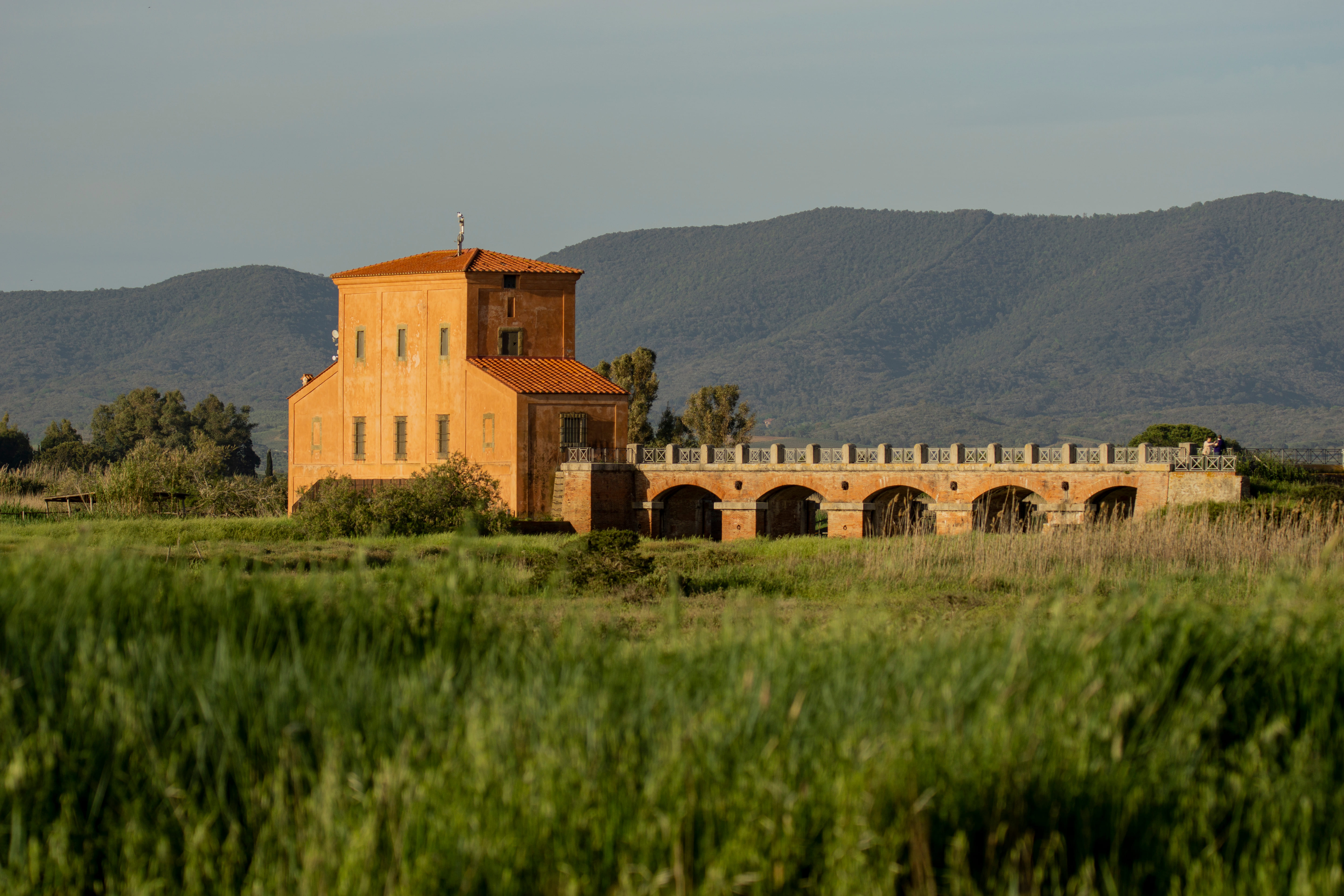 Riserva Naturale Diaccia Botrona: il cuore selvaggio della Maremma