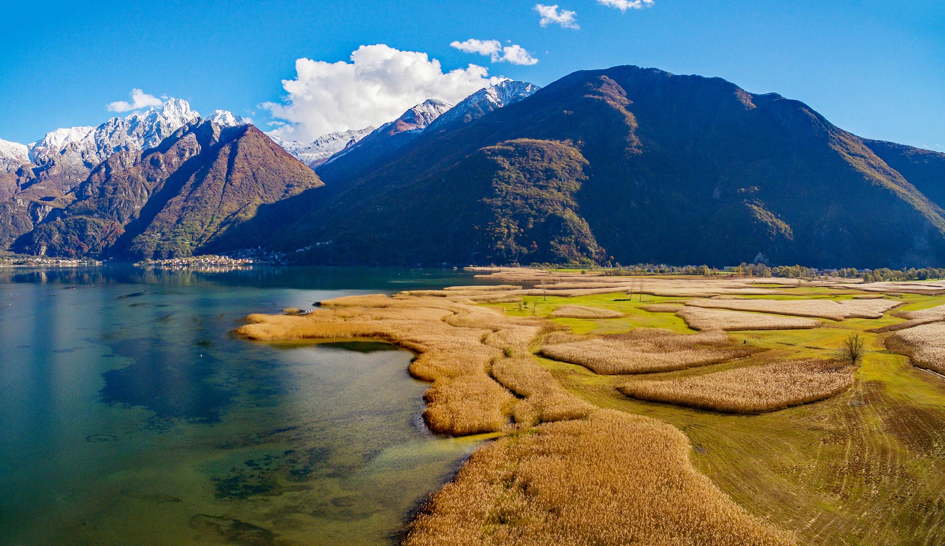 Riserva Naturale Pian di Spagna e Lago di Mezzola: dove le Alpi si specchiano nelle paludi
