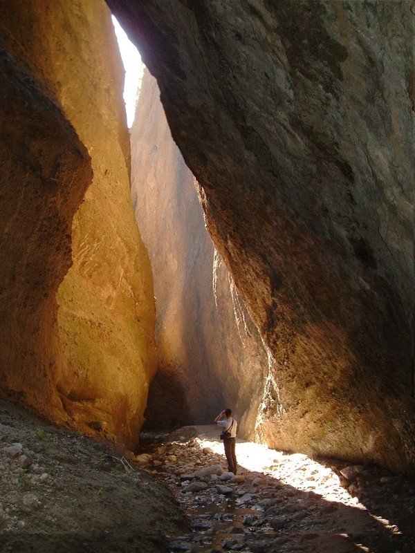 Riserva Naturale Regionale Valli Cupe: un tesoro nascosto in Calabria