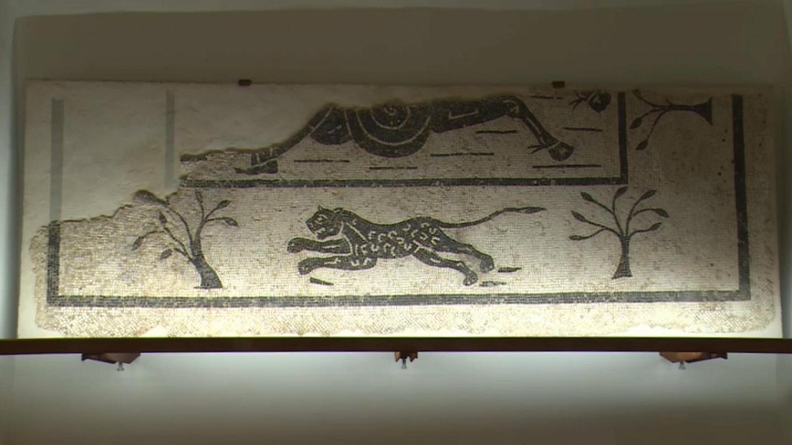 Tre mosaici romani in mostra a Saltara: nuovo allestimento multimediale