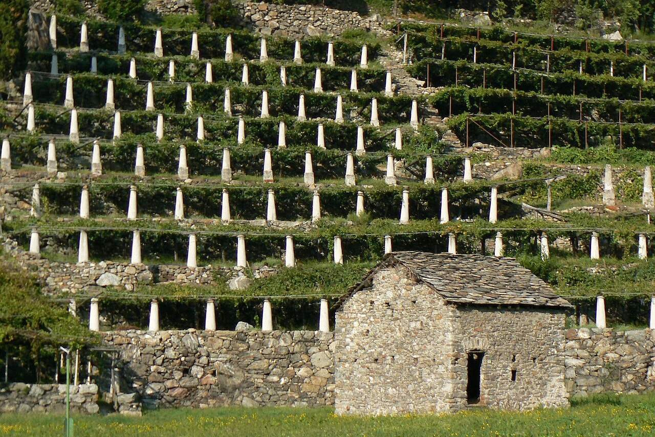Un viaggio tra storia e sapori: l'ecomuseo della vite e del vino di Donnas