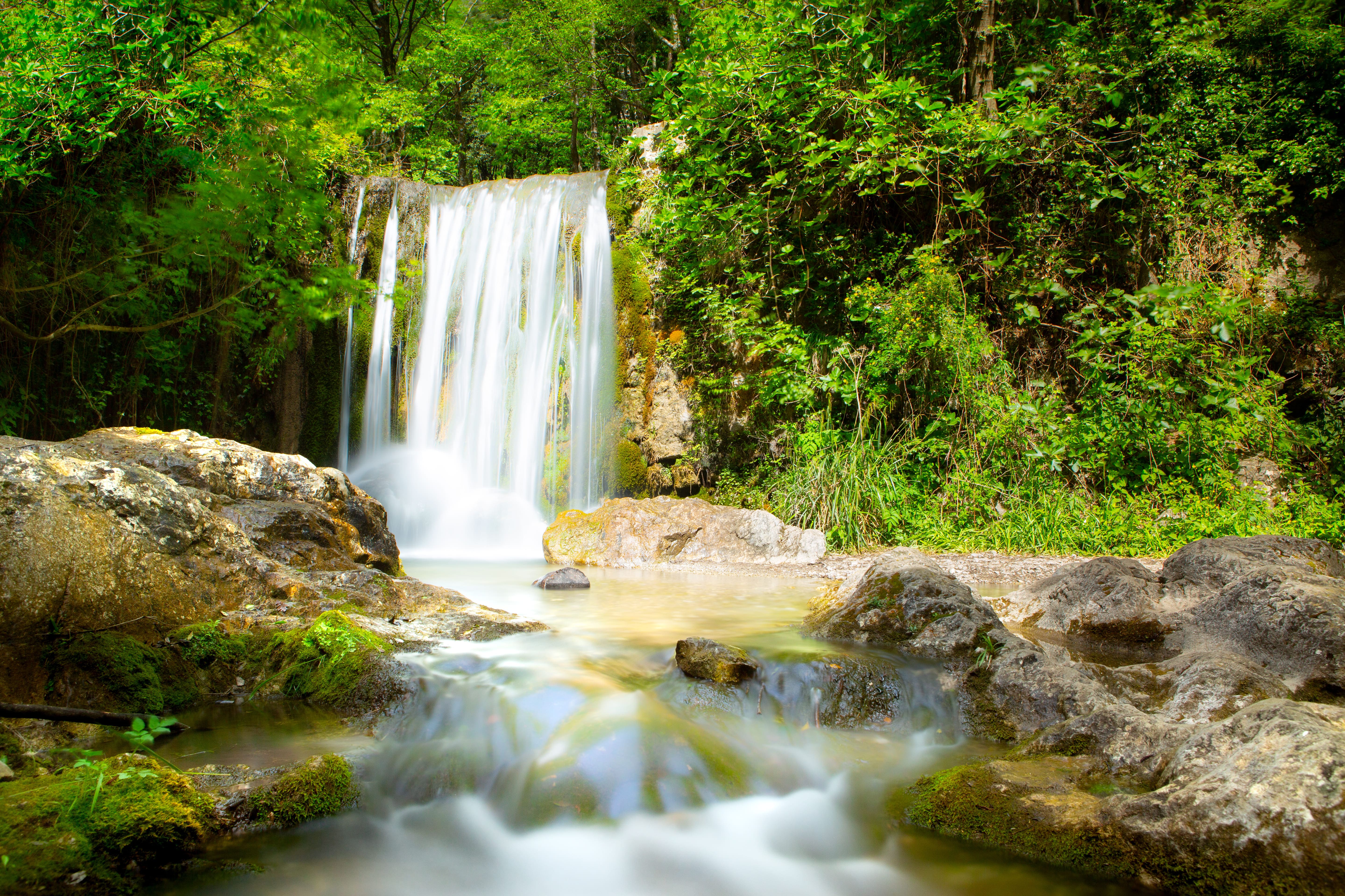 Valle delle Ferriere: la giungla nascosta della Costiera Amalfitana