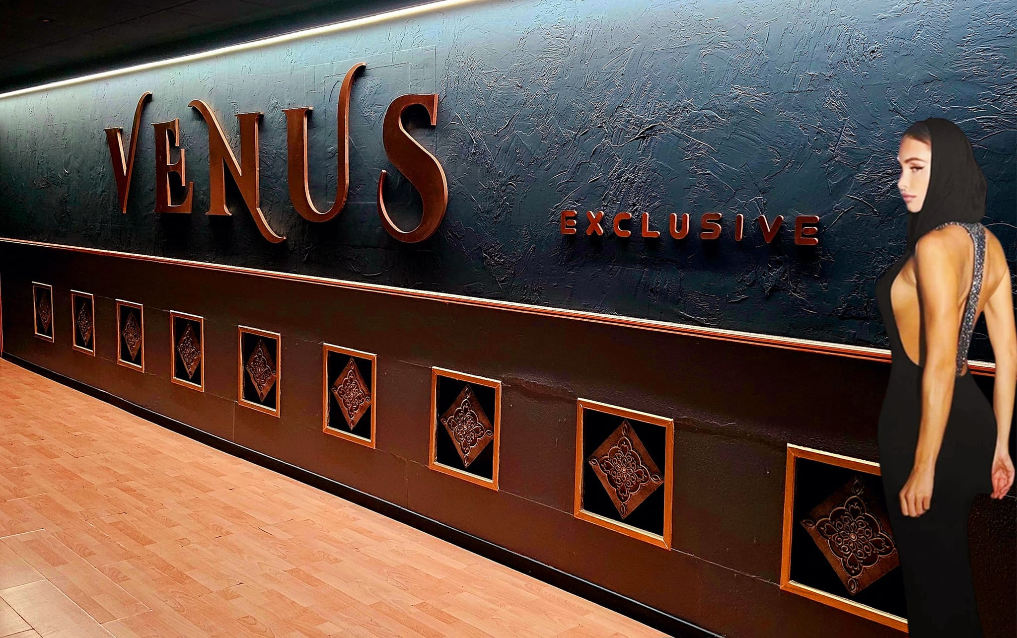 Venus Exclusive: il club che accende la notte marchigiana