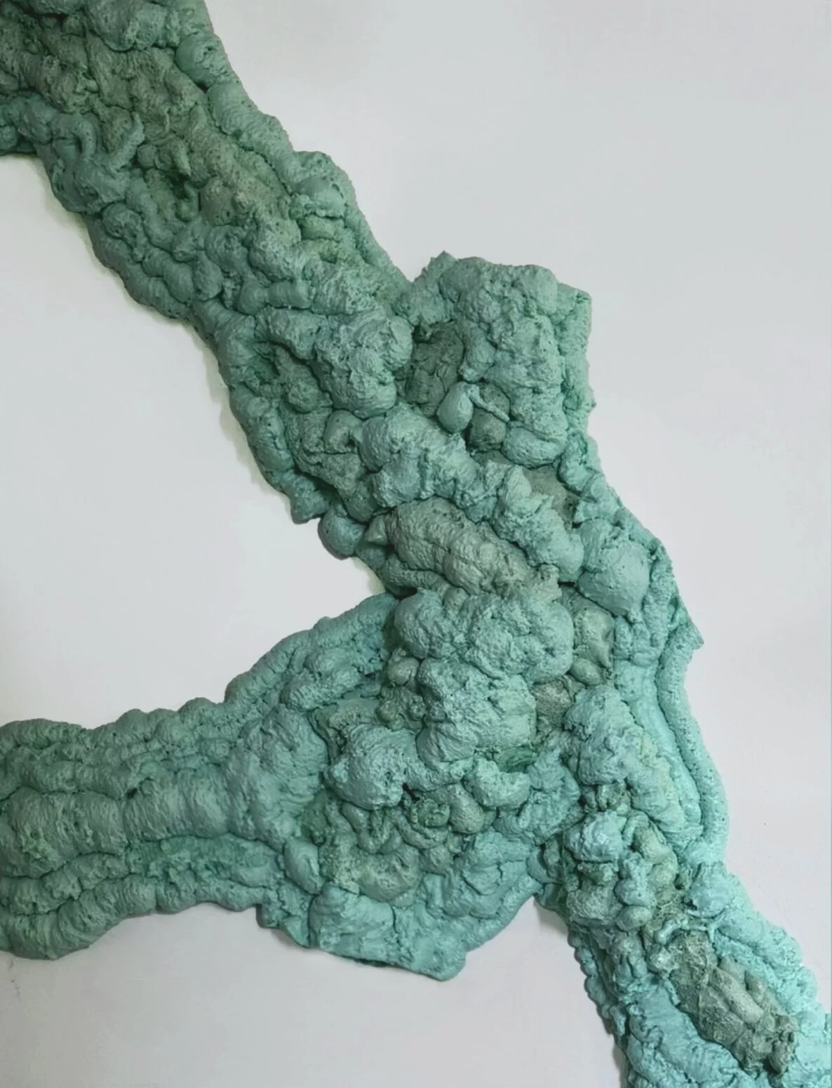 Verbo Natura: Maria Chiara Pernici e Nicole Boffa - Mostra a Torino