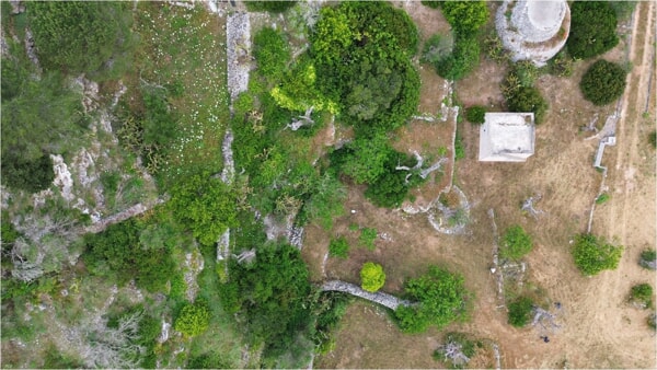 Vereto: avviata "DiscoVereto", campagna sistematica di scavo (16 maggio