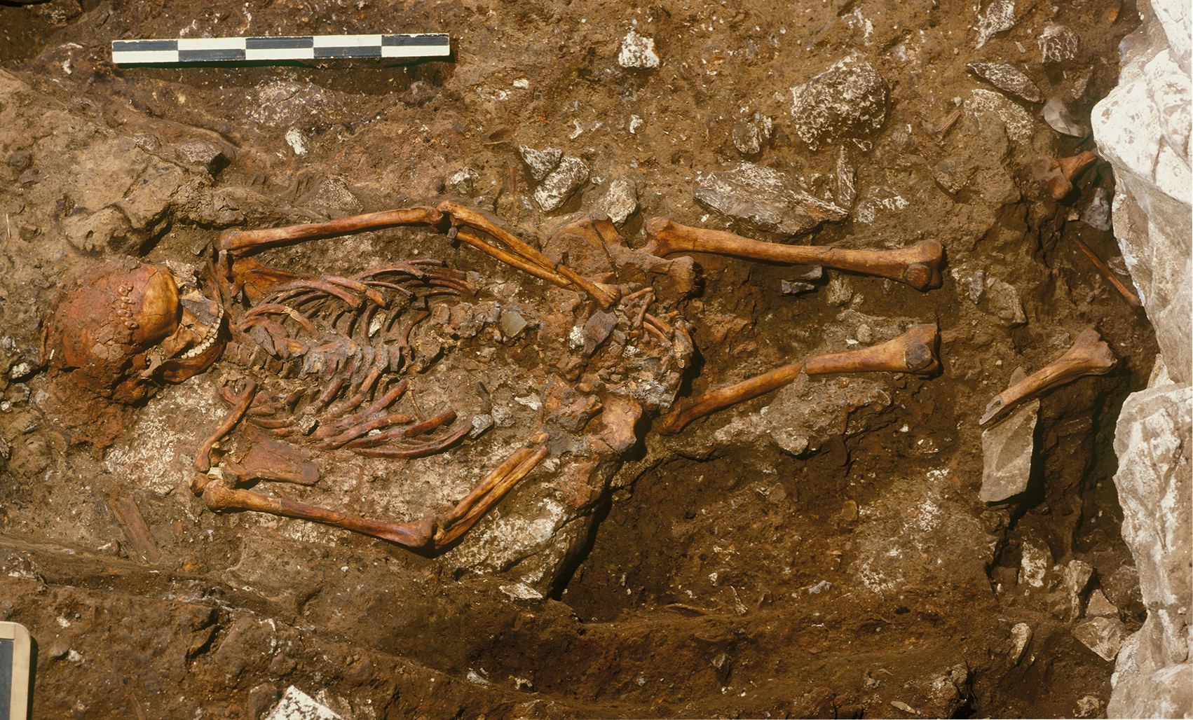 Video inedito dagli archivi: gli scavi di Grotta Paglicci tornano alla