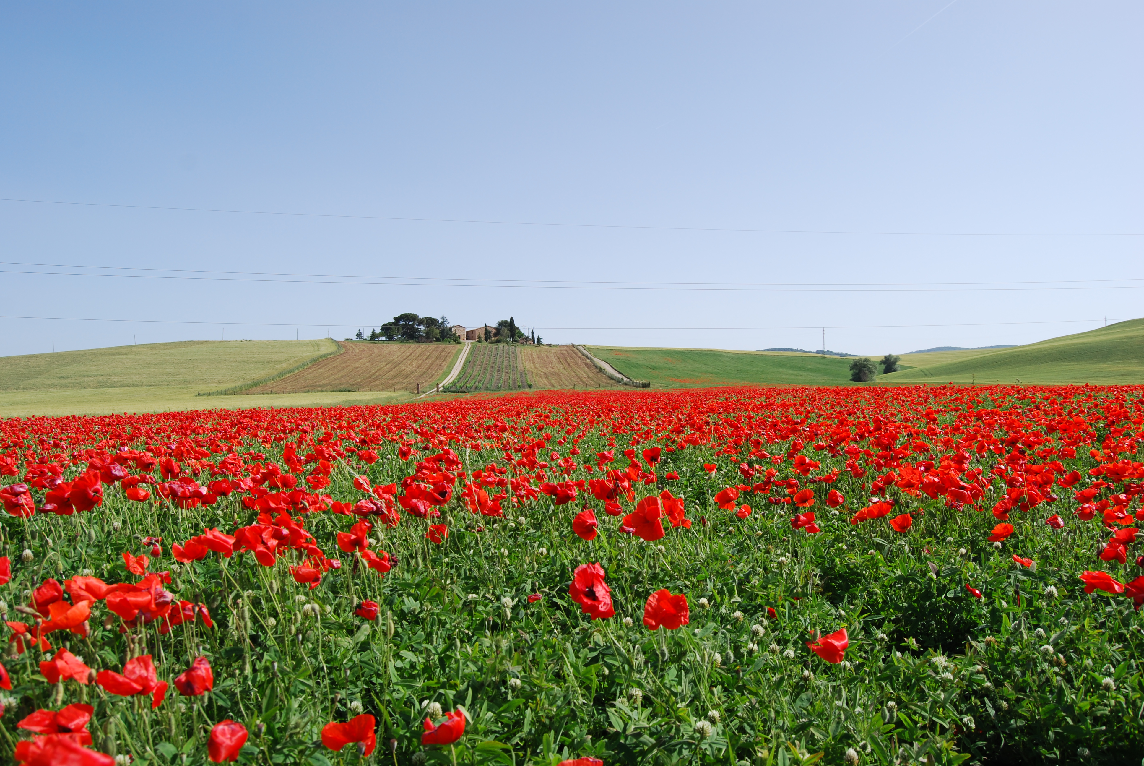 Weekend nella bella stagione - relax, cultura e buon cibo nel Centro Italia
